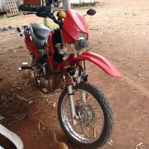 Moto é furtada em SMOeste e proprietário pede ajuda para localizá-la
