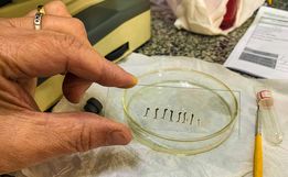 Com 15 casos suspeitos de dengue em 24h, saúde conclama população para combater a doença