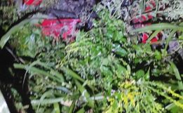 Divulgada fotos das vítimas da colisão frontal que matou três pessoas na BR 163
