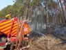 Incêndio de grandes proporções consome dez hectares de mata