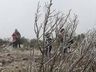 SC tem alerta para frio intenso e rajadas de vento de até 100 km/h