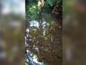 Peixes aparecem mortos em rio que abastece Belmonte e Descanso