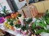 CAESP/APAE de Iporã do Oeste realiza 2ª edição da Feira das Flores