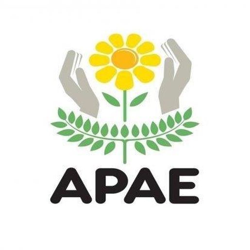 APAE organiza projetos de comercialização para o próximo ano