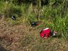 Dois jovens ficam feridos em acidente de moto no interior de São Miguel do Oeste
