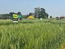 Cedup Campo Erê realiza tradicional Dia de Campo 