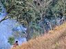 VÍDEO: Incêndio atinge vegetação às margens da BR 282, entre SMO e Paraíso