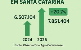 Santa Catarina bate recorde na safra de grãos, mas preços em queda preocupam produtores