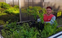 Lions Clube Iporã realiza mais uma etapa do Projeto 10 mil Árvores