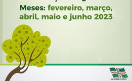 Urbanismo inicia recolha e trituração de galhos no mês de fevereiro