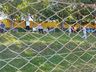 Ypiranga volta a empatar no Estadual de Amadores