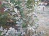 Município registra dia mais frio do ano