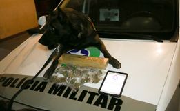 Mais de 1,5kg de maconha é apreendido em São Miguel do Oeste