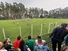 Ouro Verde se classifica para as quartas de finais do Estadual de Amadores