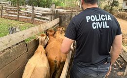 Suspeito de furtar gado no Oeste de SC é preso em flagrante