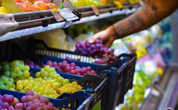 Governo prorroga prazo para cadastro na Agricultura Familiar