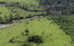 Prazo para declaração do ITR inicia em agosto para agricultores