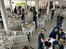 Lions vende mais de 800 unidades da tradicional Feijoada da Independência em SMOeste 