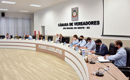Câmara vota reposição anual de servidores e agentes políticos