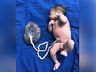 Primeiro bebê nascido em São Miguel do Oeste em 2022 é um menino