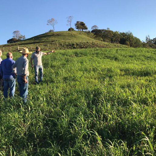  Projeto na área da suinocultura terá investimento de R$ 19 milhões em SMO 