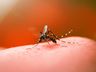 Casos de Dengue registram novo aumento significativo em Itapiranga