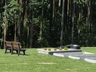 VÍDEO: Memorial Jardim dos Ipês realiza homenagem ecumênica de Dia de Finados