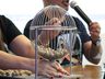 Bingo beneficente em prol do autismo reúne 366 participantes em São Miguel do Oeste 