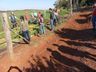 Sobressemeadura de forrageiras anuais de inverno em pastagens perenes é assunto de encontro 