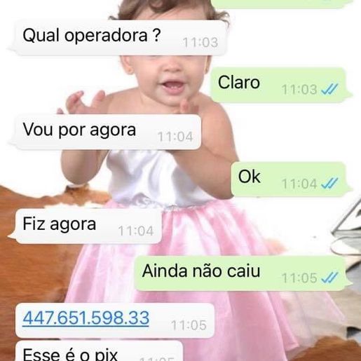 Mãe esperta dá volta em golpista de WhatsApp e faz ele perder dinheiro