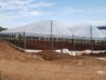 Empreendedor aposta na produção de hortifrutis no interior de Mondaí