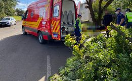 Idoso fica gravemente ferido ao cair de árvore em São Miguel do Oeste