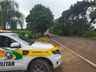 Colisão em árvore deixa condutora com ferimentos leves