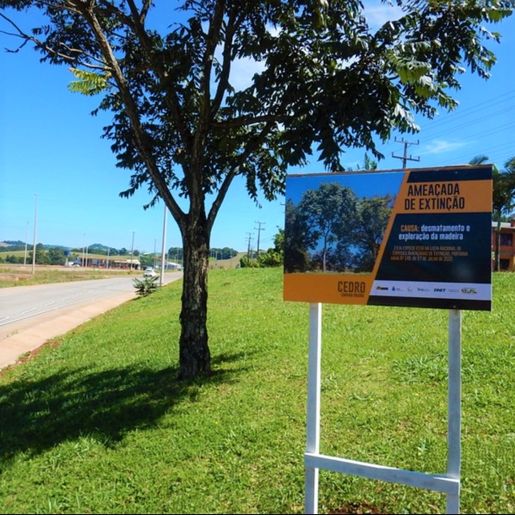 DNIT instala na BR-163/SC placas educativas sobre preservação de espécies ameaçadas de extinção