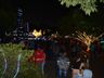 Santa Terezinha do Progresso comemora acendimento das luzes com show 