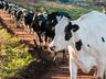 Epagri realiza palestra para debater produção leiteira