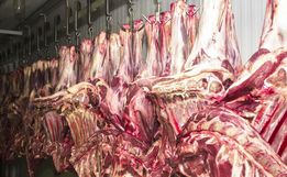 Após decisão da China, quatro países retiram embargo à carne brasileira