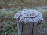 São Miguel do Oeste registra 0°C e Belmonte chega a -1,4°C