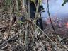 Bombeiros combatem incêndio em mata por cerca de 19 horas