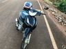 Atropelamento de cachorro deixa mulher ferida em SMOeste