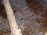 VÍDEO: Chuva de granizo atinge Campo Erê na noite deste sábado 