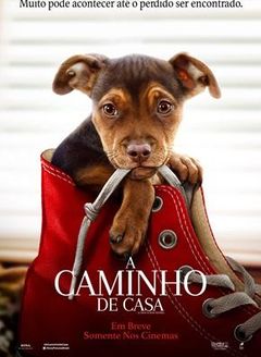 A Caminho de casa - 2D