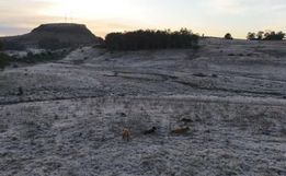 Com -9,1ºC, RS tem menor temperatura do ano