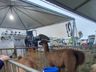 Segundo dia de Expo Cedro 2023!
