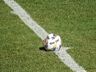 Chapecoense e Avaí empatam na partida de ida da final do Catarinense