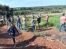 Sobressemeadura de forrageiras anuais de inverno em pastagens perenes é assunto de encontro 
