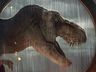 Jurassic World Domínio estreia nesta quinta-feira no Cine Peperi; confira