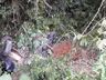 Acidente envolvendo 5 veículos deixa uma pessoa morta em Cunha Porã