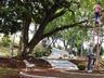 São José do Cedro investirá 149 mil reais na decoração para o Natal de 2023