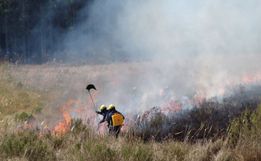 SC registra 1,3 mil focos de incêndio em 2024 e supera total do ano passado